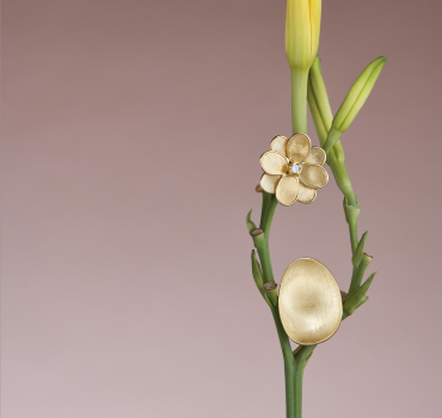 Marco Bicego Lunaria and Petali rings resting on a flower.